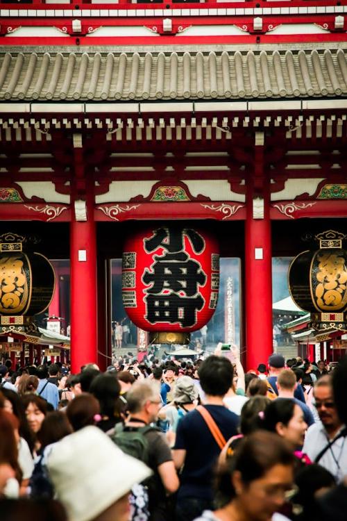 文化与教育交流